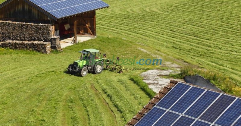Güneş Enerjisiyle Tarımda Devrim: Sürdürülebilir ve Ekonomik Bir Gelecek