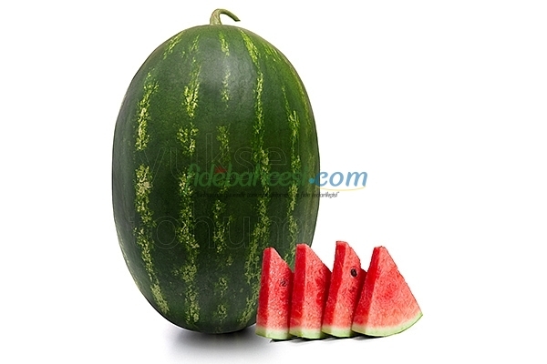 Aşılı Alp 148 F1 Karpuz Fidesi ürününe ait görsel 2