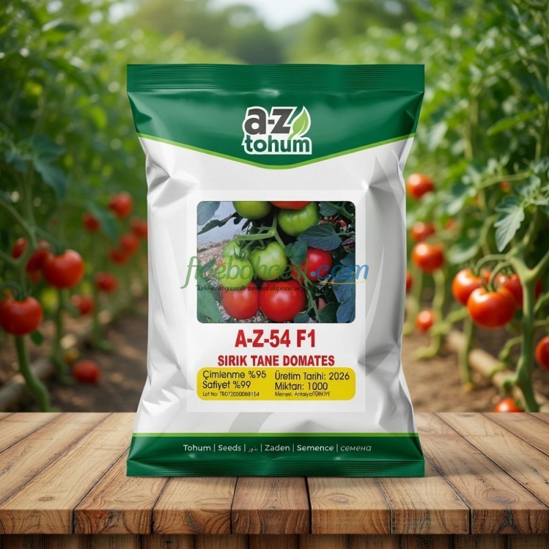 AZ 54 F1 Sırık Tane Domates Tohumu