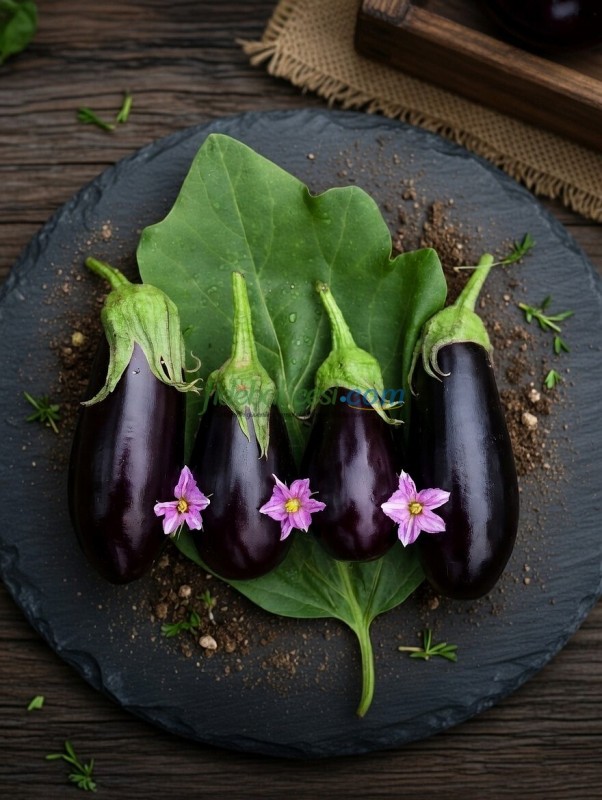 AZ 60 F1 Yarı Topan Patlıcan Tohumu ürününe ait görsel 3