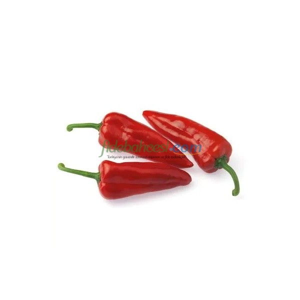 Belissa F1 Kapya Biber Fidesi ürününe ait görsel 2