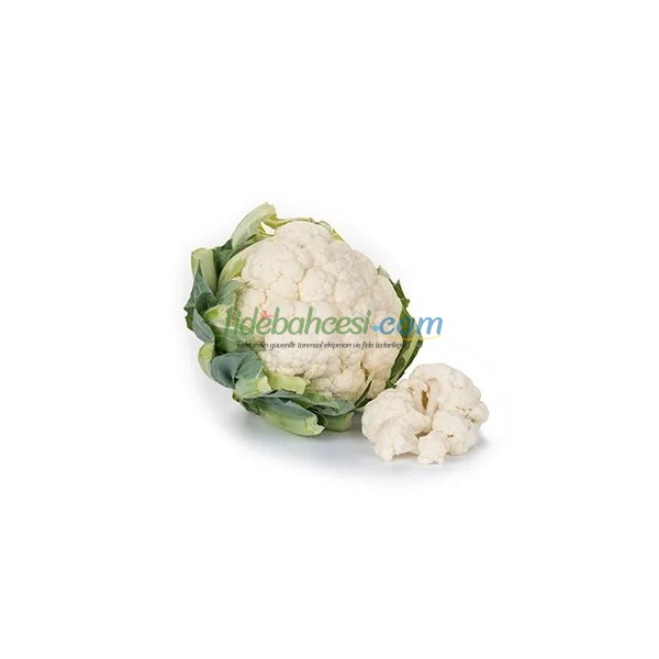 Casper F1 Karnabahar Fidesi ürününe ait görsel 4