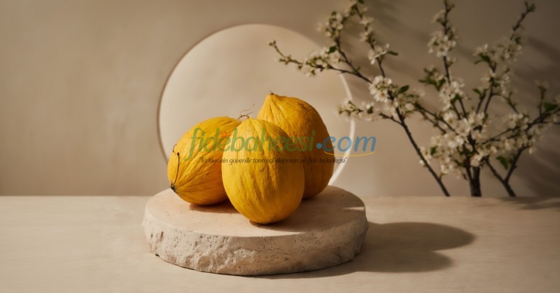 Davutbey F1 Sarı Kavun Fidesi ürününe ait görsel 2