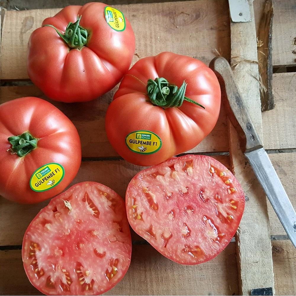 Gülpembe F1 Pembe Domates Fidesi ürününe ait görsel 2