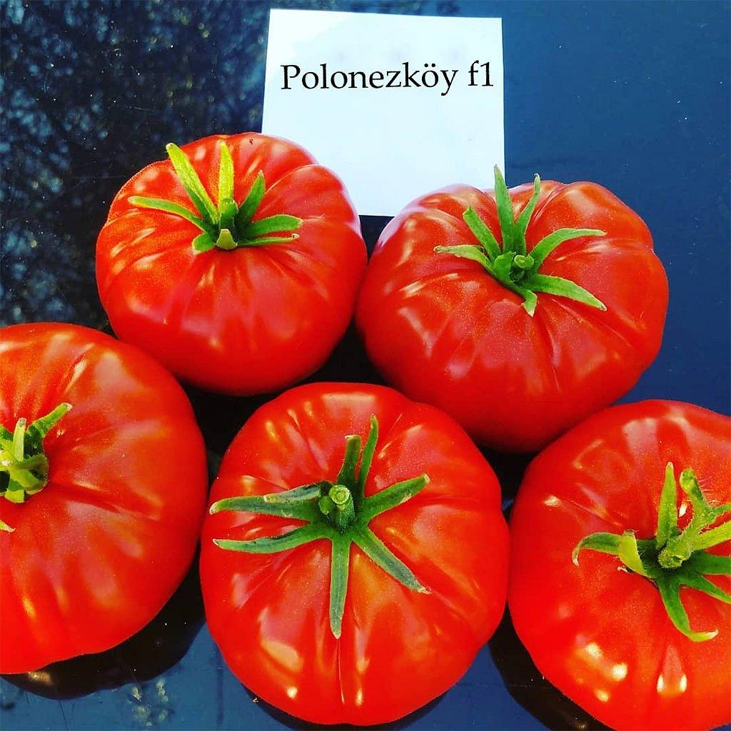 Polonezköy F1 Köy Domatesi Fidesi ürününe ait görsel 2