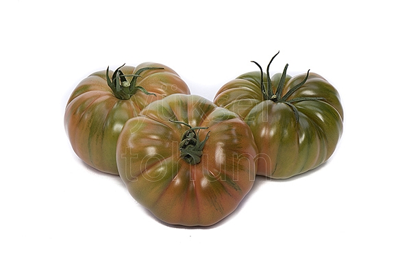 Yükselköy F1 Domates Fidesi